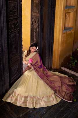 ASHWITHA Lehenga Choli All