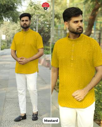 Chikankari Mens Short Kurta