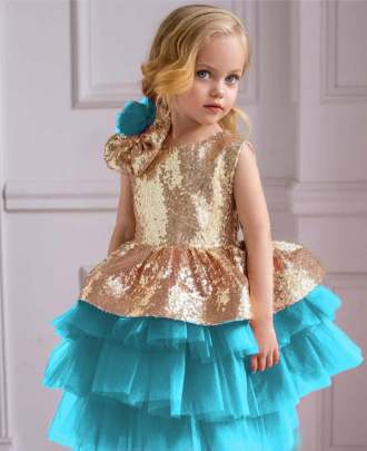 Golden Bloom Soft Net Gown  gown