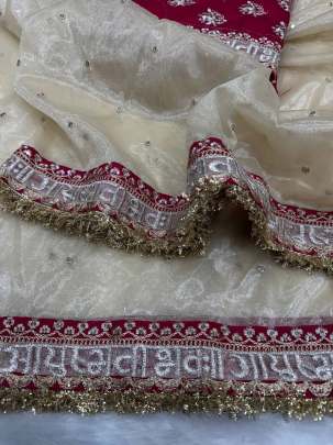 Festive Special designer sequins saree Party wear saree