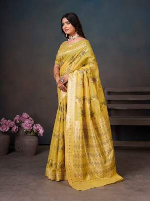 RADHA  Party wear saree