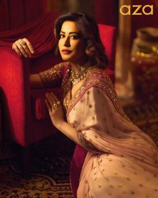 Bollywood celebrity sequence saree