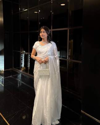 lilima Party wear saree
